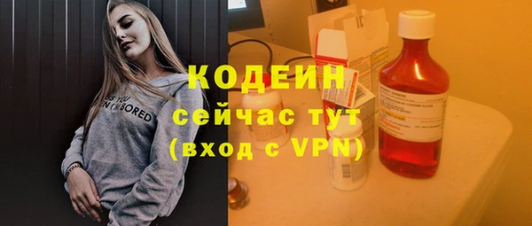 ГАЛЛЮЦИНОГЕННЫЕ ГРИБЫ Абаза