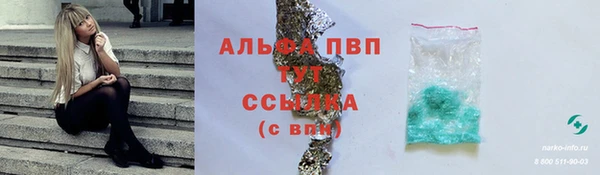 СК Абинск