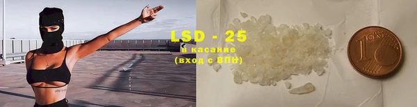 ГАЛЛЮЦИНОГЕННЫЕ ГРИБЫ Абаза