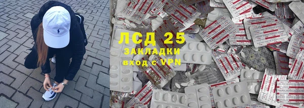 ГАЛЛЮЦИНОГЕННЫЕ ГРИБЫ Абаза